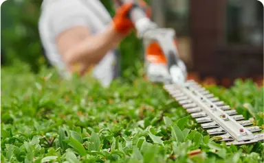 Landscaping and Garden Maintenance